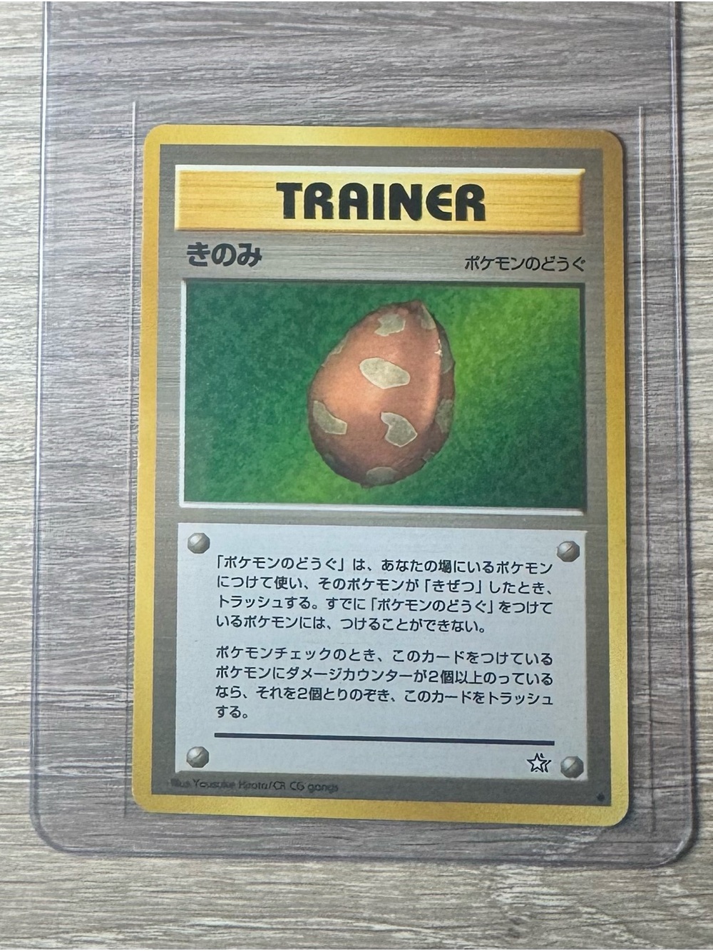 Berry Trainer/Pokemon Japanese